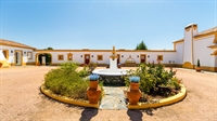 traditional style huge manor - 2