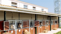 huge agricultural equestrian estate - 3