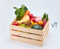 fruit vegetable products trading - 1