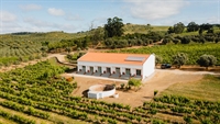 rural hotel vineyard vidigueira - 1