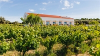 rural hotel vineyard vidigueira - 2