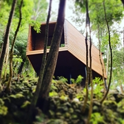 your own eco lodge - 2