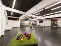 fully operational premium pet-care - 3