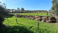 equestrian estate 2 licensed - 3