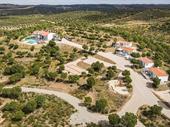 vast property heart of